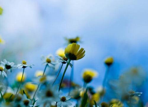 描写雨的诗句是