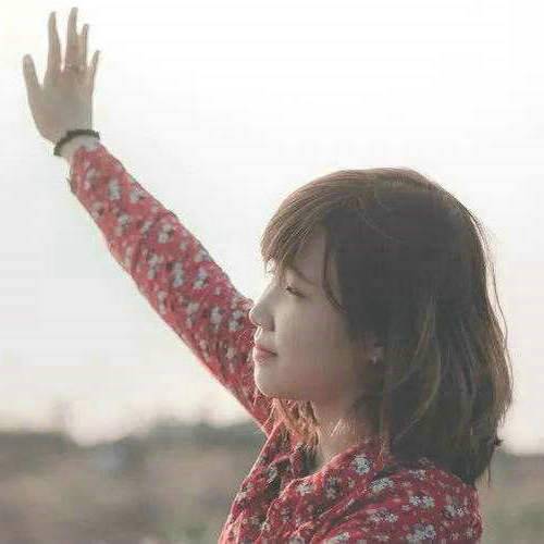 赞美梅花的诗句有