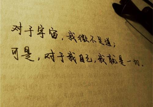 落叶与茶的诗句