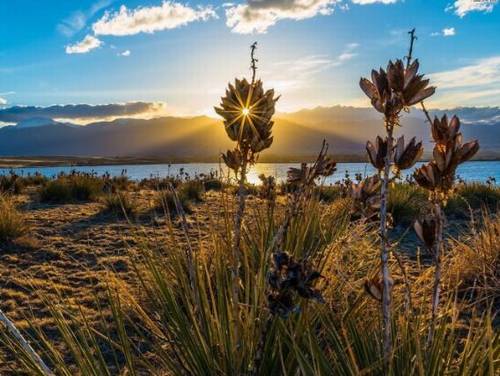 爱国之情的诗句