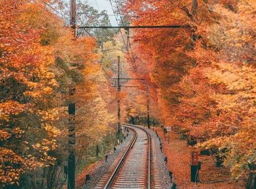 �����õ��ʫ��