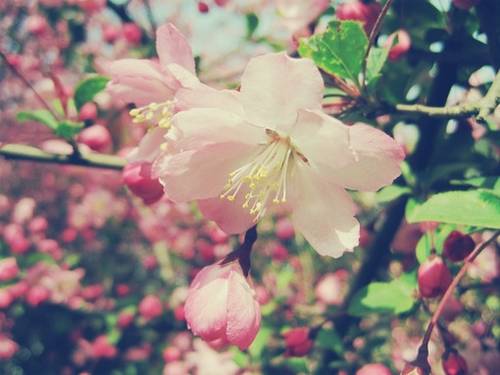 工作不顺利的诗句