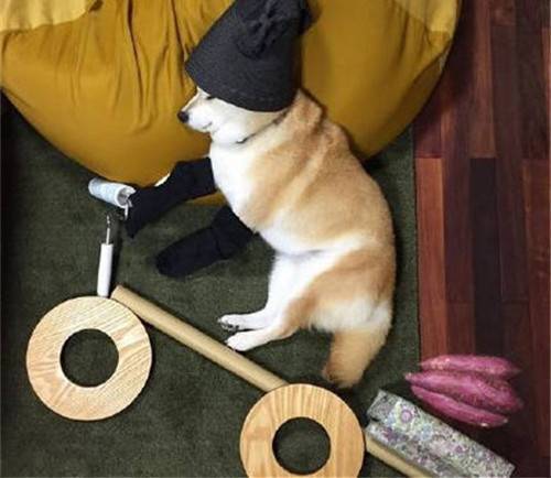 丽江茶马古道导游词