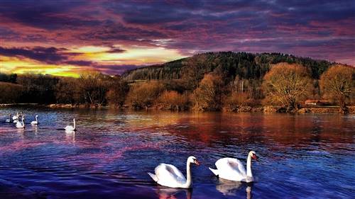 阿尔泰山导游词