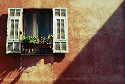 赞美校园的诗句