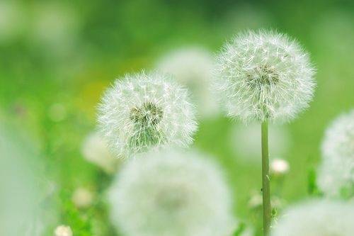 形容皓月当空的诗句