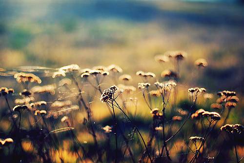 关于女生的诗句