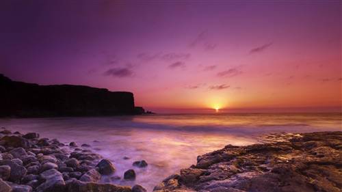 形容看桃花的心情诗句