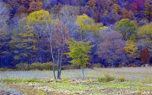有关经济的诗句