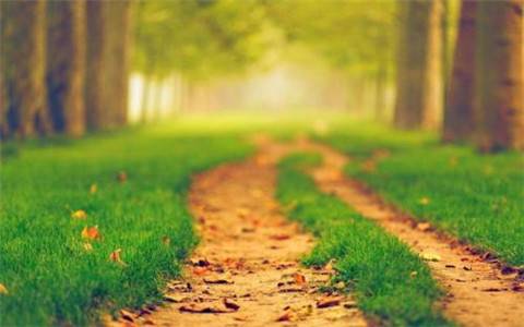 关爱学生古诗词