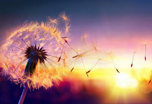 导游词上饶概述