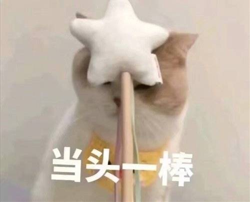 导游词西湖带古诗