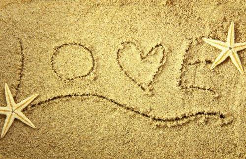 爱情忠诚的诗句