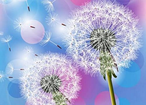 衡山沿途导游词