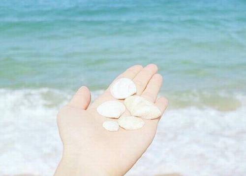 成都武侯古诗快闪