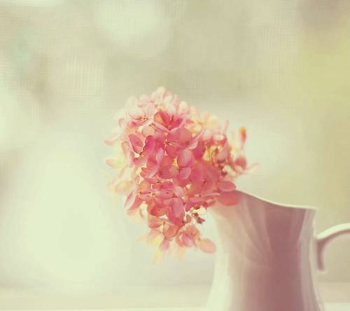 古诗咏柳配画简笔画