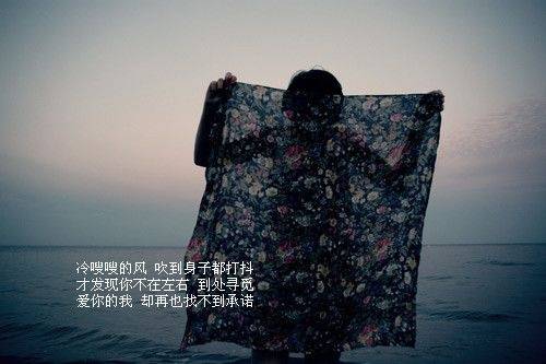 导游词的精彩句子