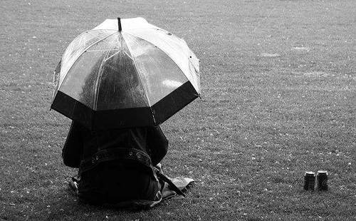 古诗文中顾的意思