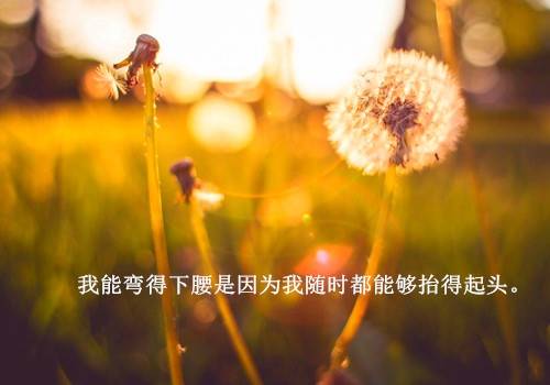 有关风雨的古诗