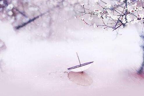 诗中有秋的古诗词名