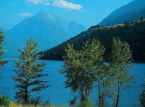 公开恋情的诗句