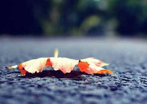 屈原最经典的诗句