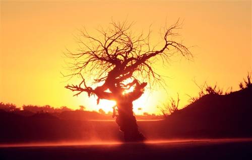 腊八节有关的古诗