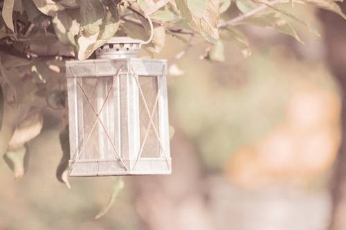 自己创的表白古诗