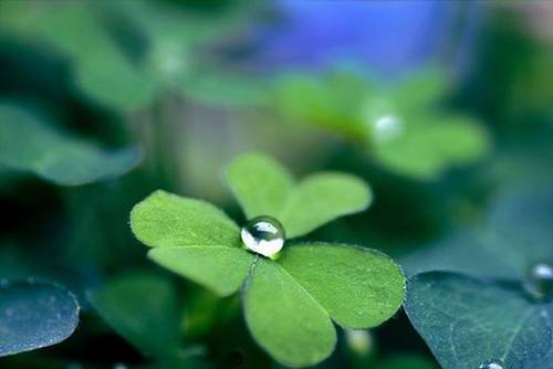 熹妃传第六世诗句