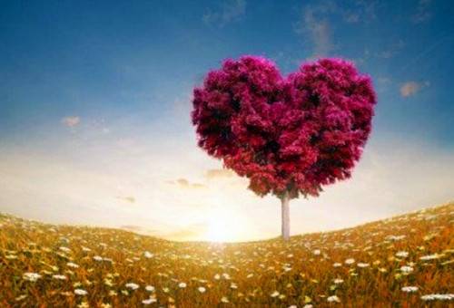 四年级部编版古诗卡