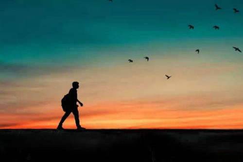 关于向日葵的诗句