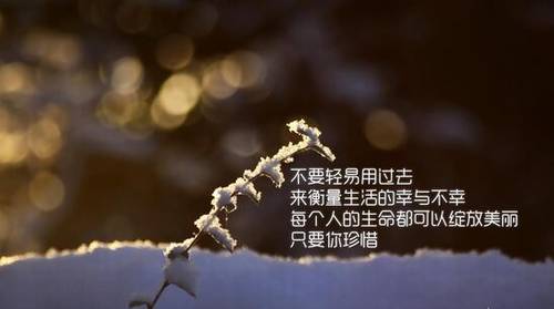 描写大好河山的诗句