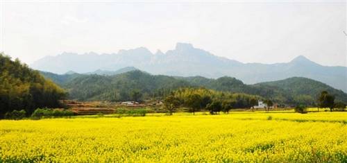 秋天的相思的诗句