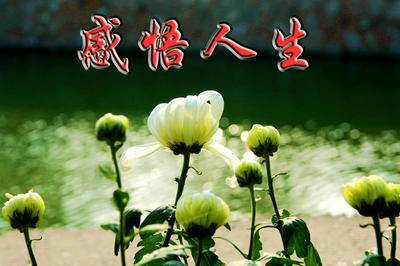 送元二使安西古诗朗读