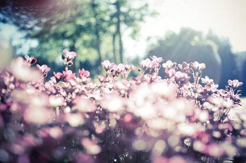 有关船夜行的诗句