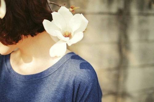 玉的传家宝导游词