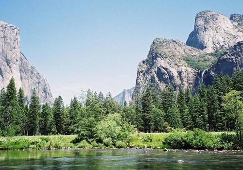 赞美胡麻油的诗句