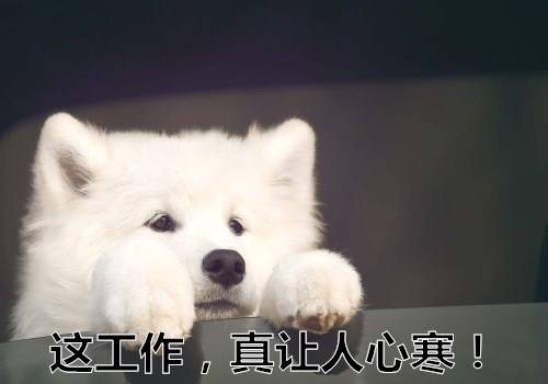 缅怀先烈的诗句