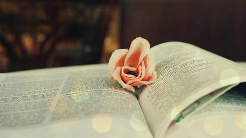 中秋在外游子诗句