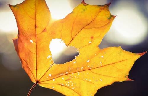 黄山由来的导游词