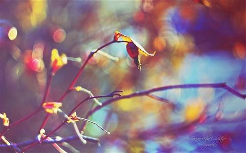 赞美医术和医德的诗句