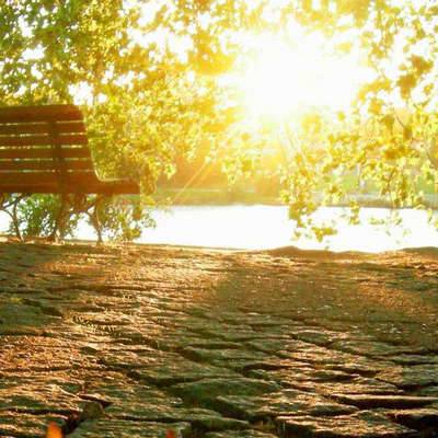 表达爱意的古诗