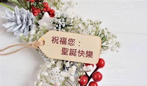 古诗托物言志的诗句