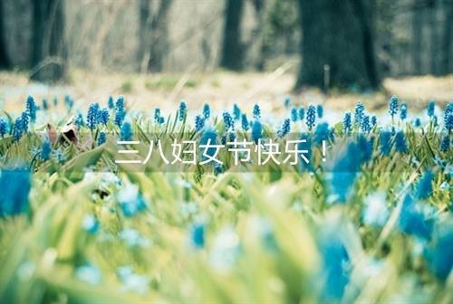 五店市的导游词