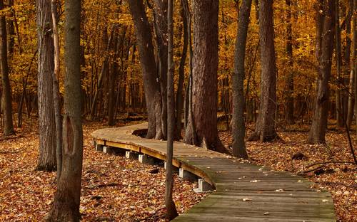 他乡再无回忆的诗句