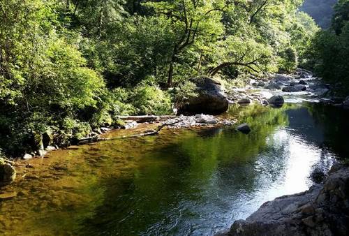 阆中途中导游词