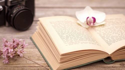 学习的诗句或名言