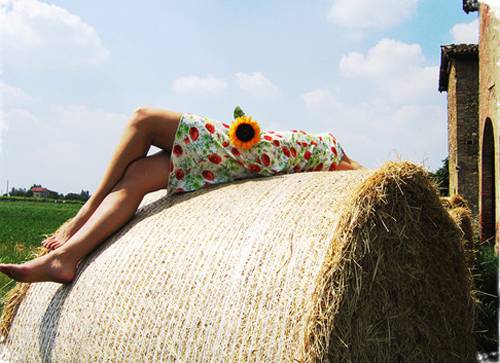 学校美景的导游词