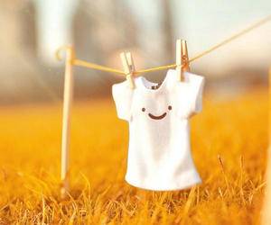 赞美开花的诗句