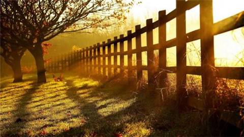 秋天好冷的诗句